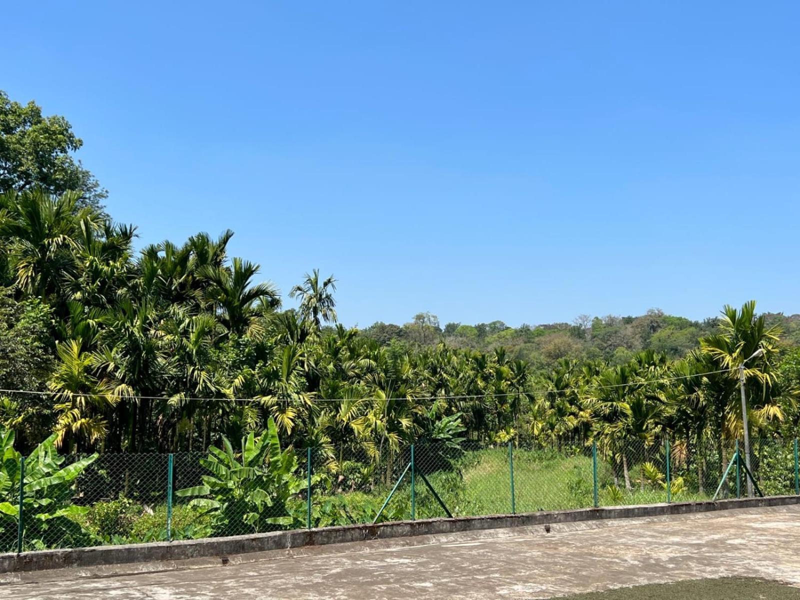 Emerald Castle Villa Madikeri Εξωτερικό φωτογραφία